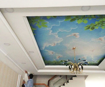 Thi công trần thạch cao - Anh Anh, đường Tiểu La